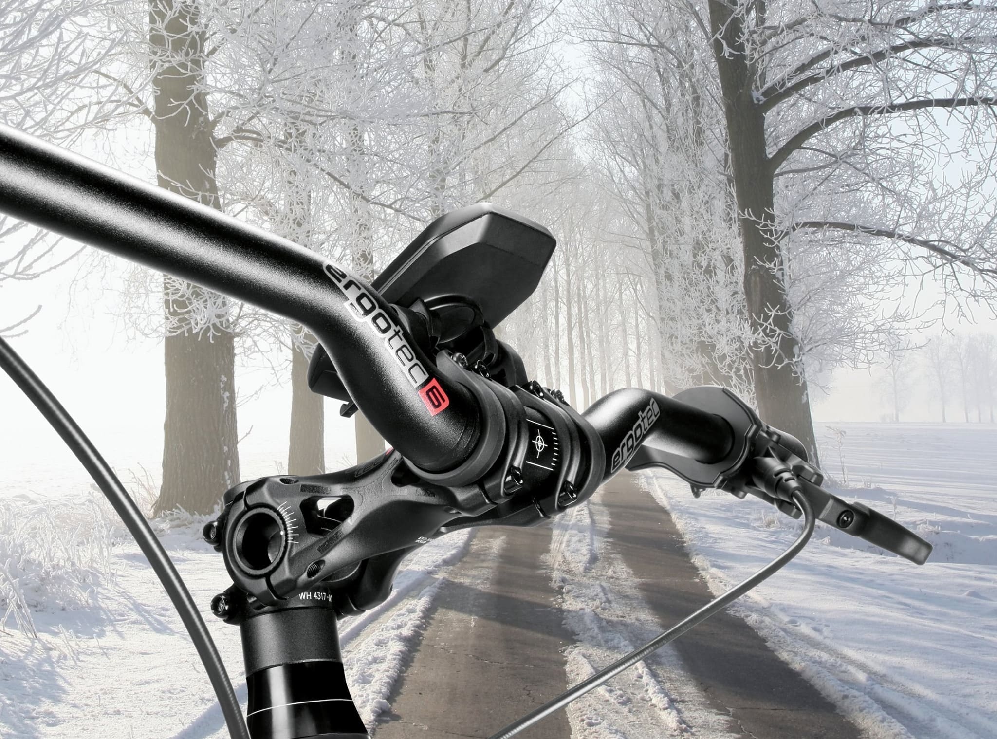 Giant Geschäft -Giant Geschäft 139838878 1015189025640587 6107304260533592082 n 2