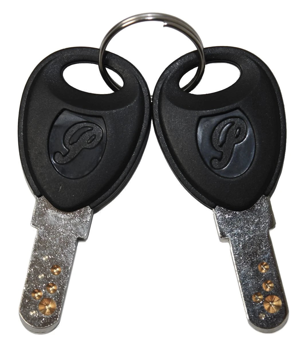 Flyer / Panasonic E-Bike Ersatzschlüssel Ab 2007 - 1 Paar 1 Flyer / Panasonic E-Bike Ersatzschlüssel Ab 2007 - 1 Paar