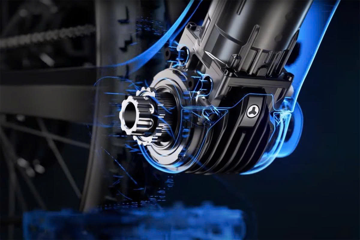 Giant Geschäft -Giant Geschäft z6794217642069 f7199275db3294d99d25726b8bf36458